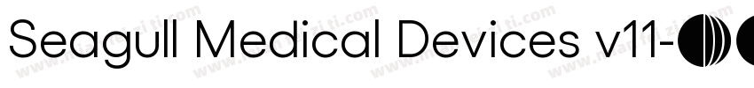 Seagull Medical Devices v11字体转换
